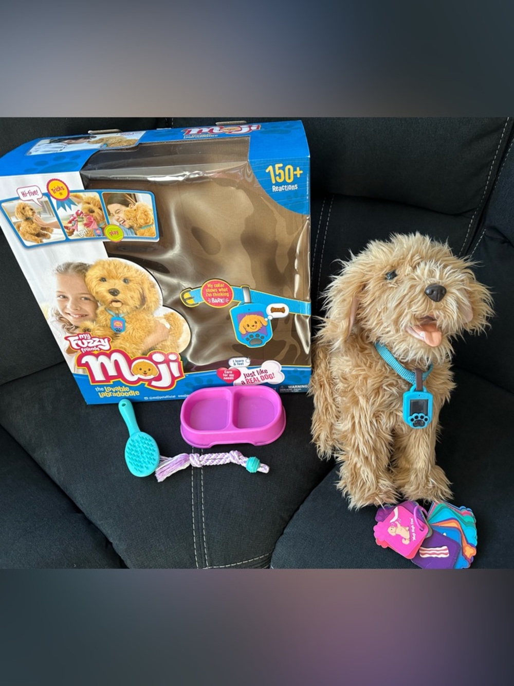 SkyRocket Moji the Lovable Labradoodle